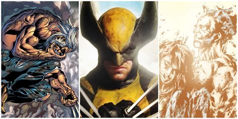 Are Wolverine And Sabretooth Related? 10 Common Misconceptions About ...