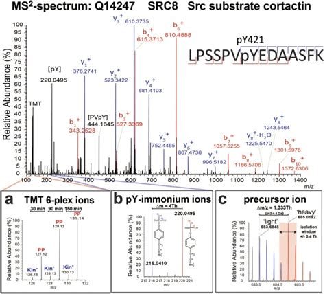 Identifying Kinase Substrates via a Heavy ATP Kinase Assay and Quantitative Mass Spectrometry ...