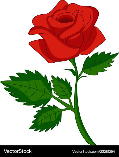 Red rose cartoon Royalty Free Vector Image - VectorStock