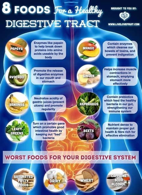 8 foods for a healthy digestive tract | Food Health | Pinterest