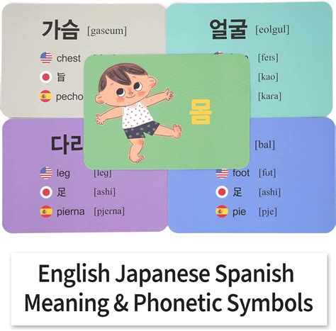 Korean Word Flashcards for Beginners Hangul Flash | Ubuy India