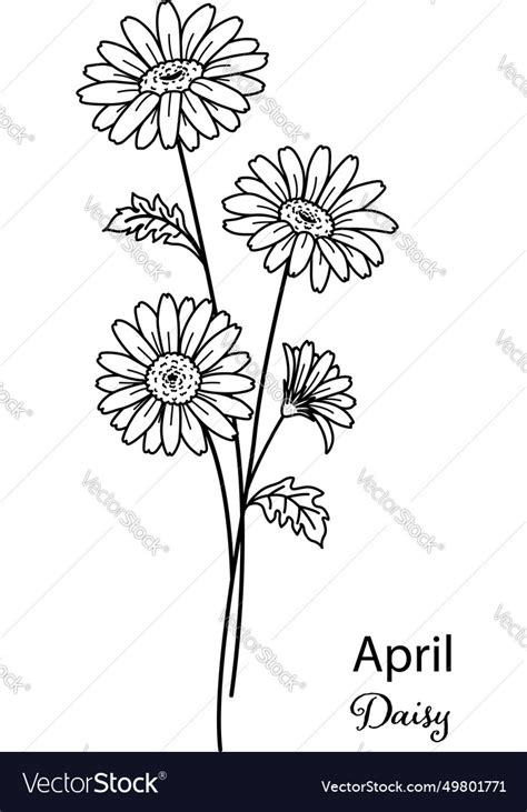 February violets Royalty Free Vector Image - VectorStock