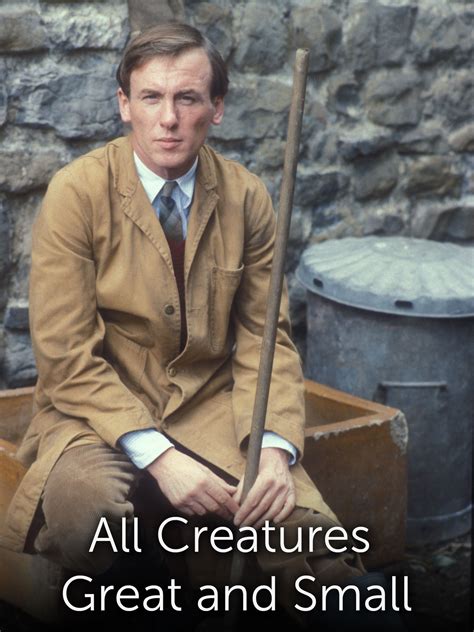 Watch All Creatures Great and Small Online | Season 5 (1988) | TV Guide