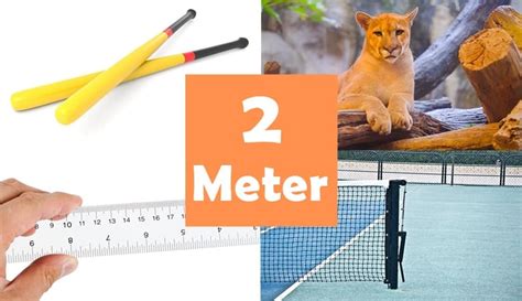 9 Things That Are About 2 Meters (m) Long – dimensionofstuff.com