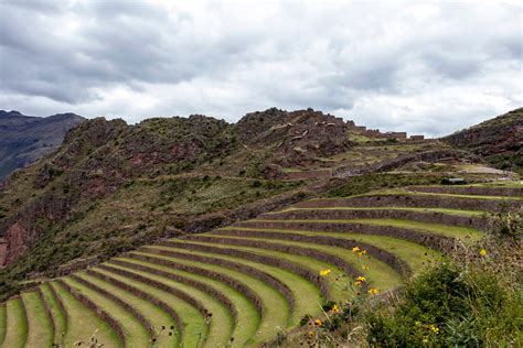 Written in Inca: The Influence of the Ancient Culture on Peruvian Foods