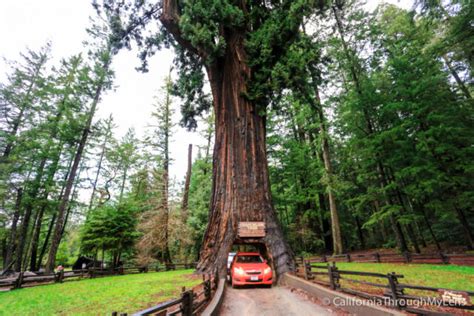 redwood drive thru theater - Temple Easley