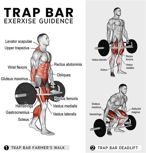 For Trap Bar Deadlift, what's the best rep range to build muscle? in 2023 | Trap bar deadlift ...