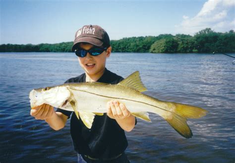 Snook fishing Charlotte Harbor, Florida snook fishing charters