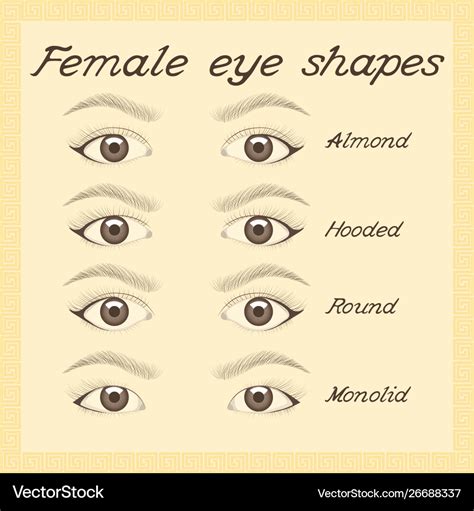 Eye shapes and types various female Royalty Free Vector