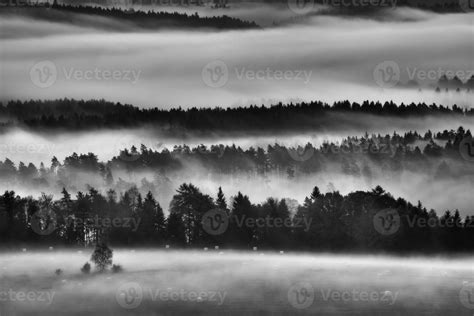 Morning landscape with fog 11022818 Stock Photo at Vecteezy