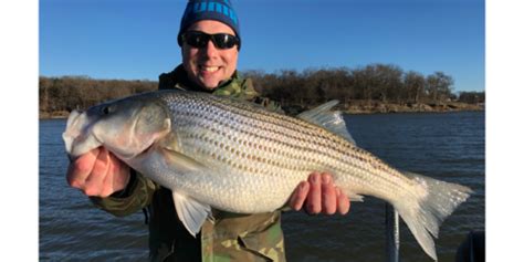 Striper Fishing Lake Texoma-Winter Weather-Striper Express