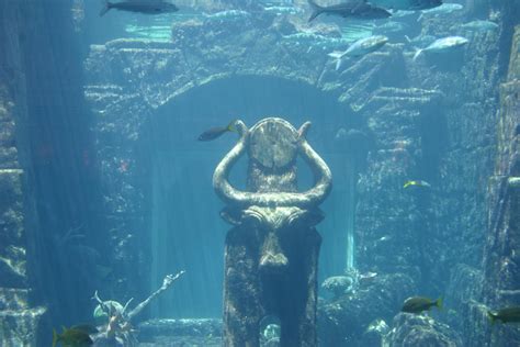 Underwater or through glass? | Lost city of atlantis, City of atlantis ...