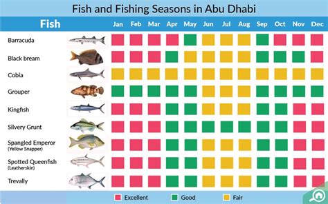 Fishing in Abu Dhabi Guide: Spots, Seasons, Licence & More - MyBayut