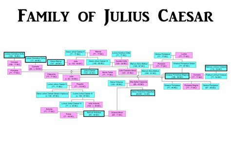 24x36 gallery poster, Family of Julius Caesar, Julio-Claudian family tree - Walmart.com