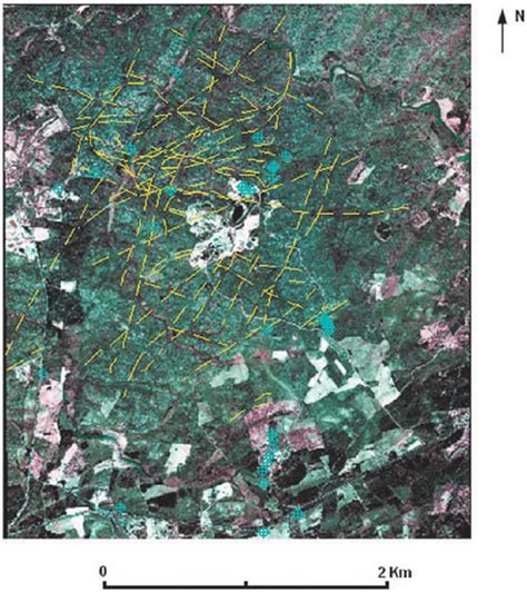 Fracture map of the studied area. | Download Scientific Diagram