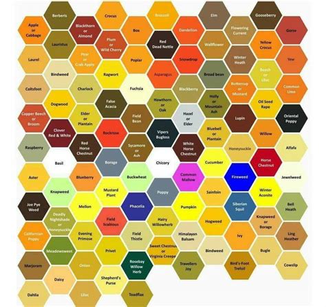 Pollen color chart! 🌈 - Blue Sky Bee Supply