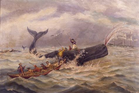 Two Century Old Shipwrecked Whaling Ship Discovered In