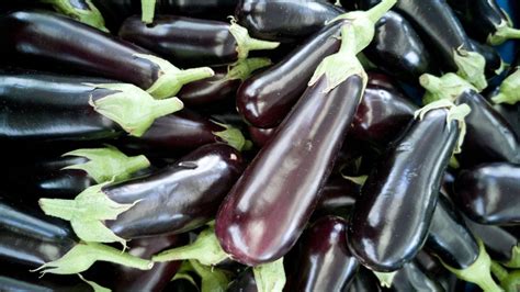 Types of eggplant: 10 varieties of aubergine for you to grow ...