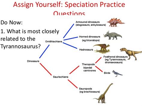 Macroevolution