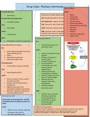 Pharmacology Concept Map Chapter 34 Docx Drug Class U - vrogue.co