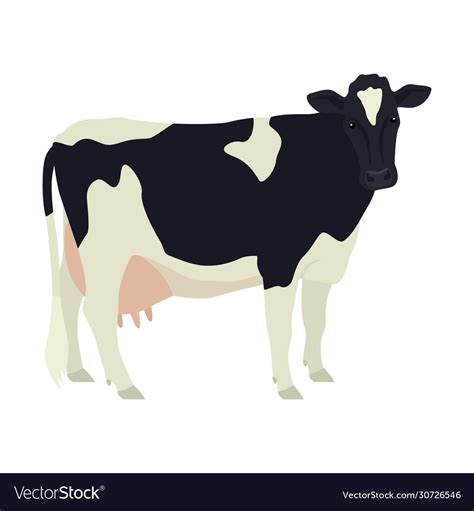 Cow Holstein Friesian Cartoon Vector Illustration Stock Vector | The ...