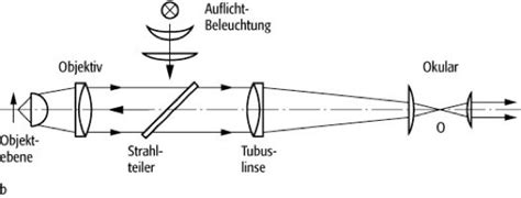 Mikroskop - Lexikon der Physik