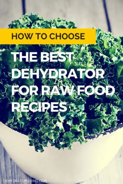 How to Choose the Best Dehydrator for Raw Food Recipes - Dehydrator Living