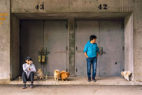 Hong Kong Street Photography | Photographer Dan Morris