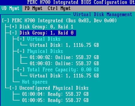 DELL Server: How To Create RAID Using PERC H700 Integrated BIOS ...