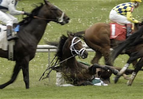 On Average, 42 Horses Die at Belmont Park Every Year; 15 Killed So Far in 2019 – Horseracing Wrongs