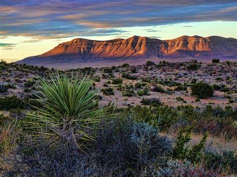 West texas landscape hudspeth county texas – Artofit