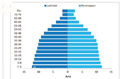 Piramida Penduduk Pengertian Bentuk Piramida Penduduk Muda Dewasa | Hot Sex Picture