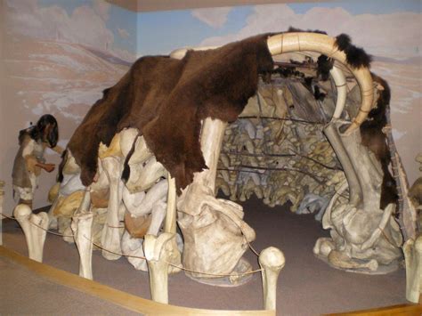 Houses made from perfectly preserved ancient mammoth bones were found ...