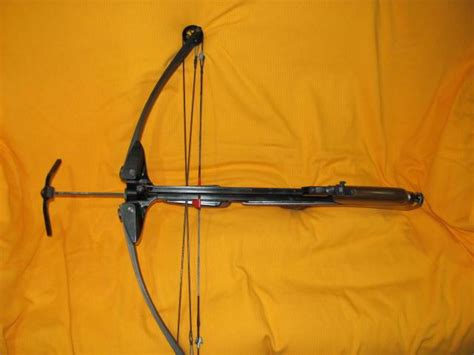 Barnett Thunderbolt Wood Crossbow w/10 new bolts 10488360 - GunAuction.com