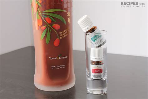 10 NingXia Red Shot Recipes Using Vitality Essential Oils - Recipes with Essential Oils