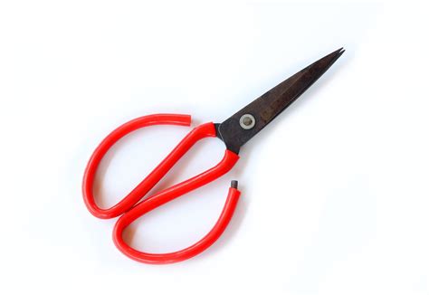 Uses For Garden Scissors: Types Of Scissors For The Garden And How To Use Them | Gardening Know How