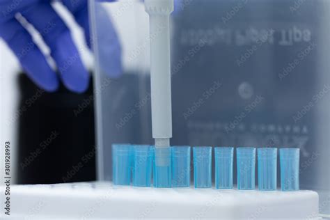 Polymerase Chain Reaction (PCR) and Agarose gel electrophoresis is a method of gel ...