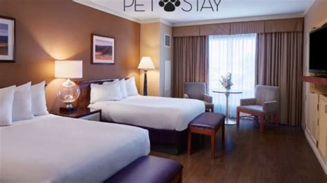 Hotel Rooms | Harrah's Metropolis Hotel & Casino