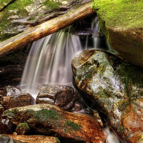 Shiny Rocks Photograph by Greg and Chrystal Mimbs - Fine Art America