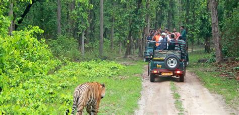 Bandipur National Park and Safari Details | Bandipur Online Safari Booking