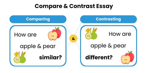 Compare and Contrast Essay: Tips & Examples of Comparing and Contrasting