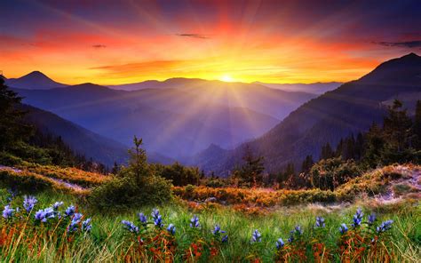 Mountains sunset sun landscape panorama wallpaper | 1920x1200 | 67205 | WallpaperUP