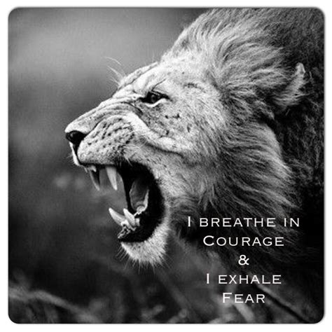 Courage comes in... No Fear comes out | Fear, Lion quotes, Gentleman quotes