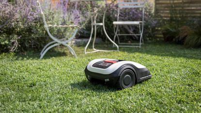 Honda Miimo HRM 40 Live lawn mower review: a reasonably price robot ...