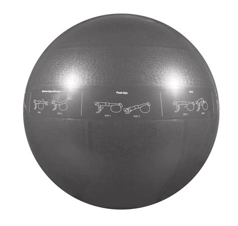 GoFit ProBall Stability Ball for Yoga, Fitness, Balance, Exercise Ball, Silver 75cm - Walmart ...