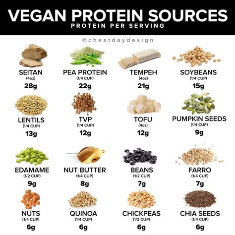 Vegan Protein Sources