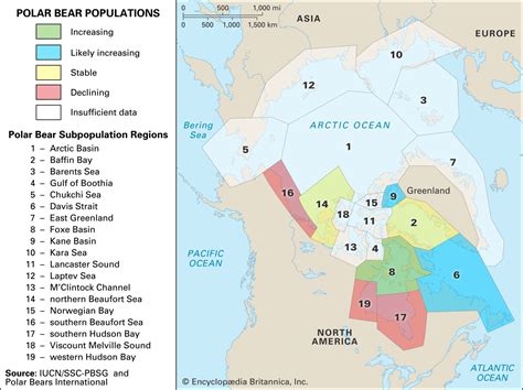 Polar Bear Migration Map