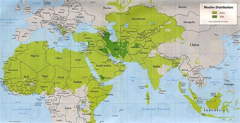 Interesting Times: Sunni and Shia - a map tells it all