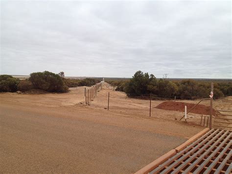 The Rabbit Proof Fence of Australia | Amusing Planet