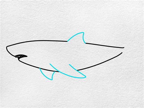 Easy Shark Drawing - HelloArtsy